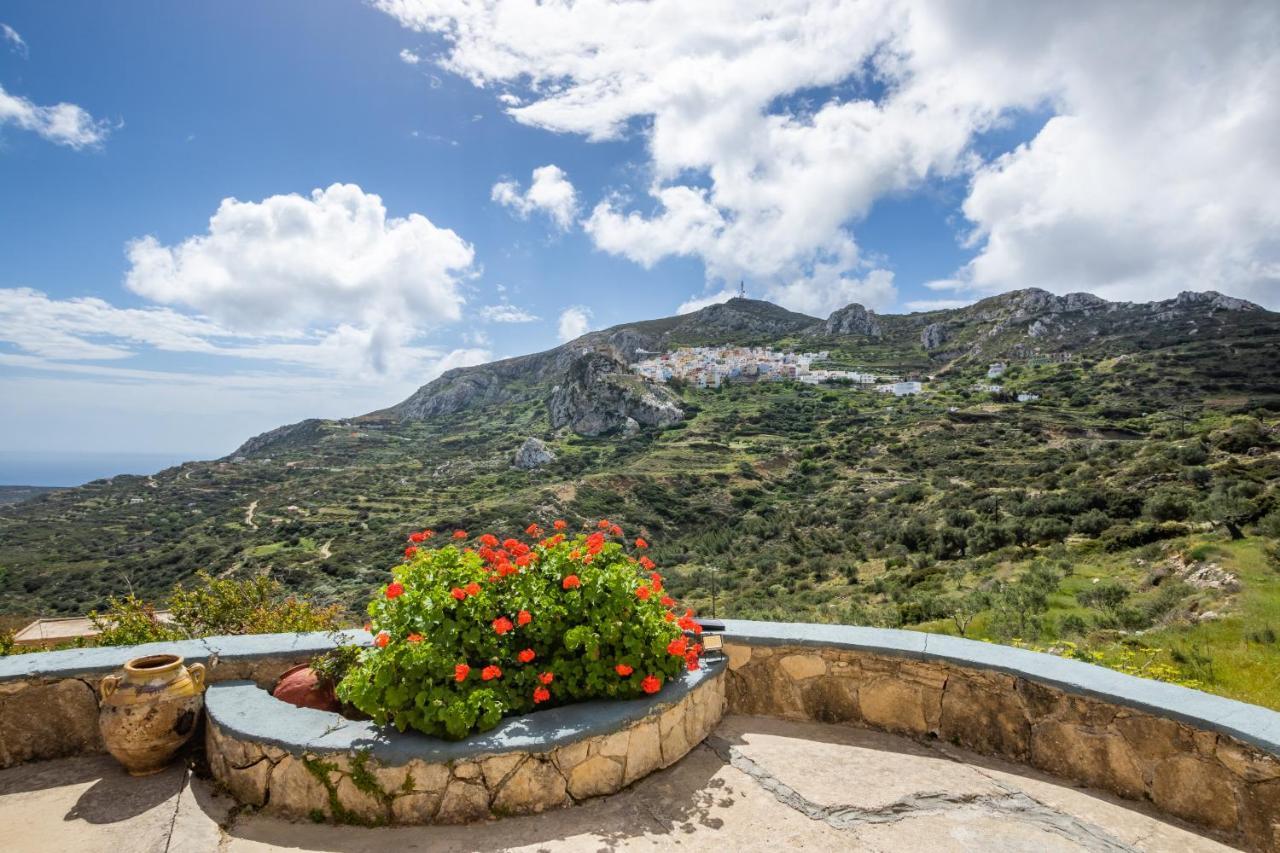 Olive Grove Cottage Menetaí Екстериор снимка